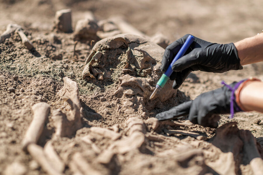 Chexiyada muzlik davri odamining qurollar to‘plami topildi