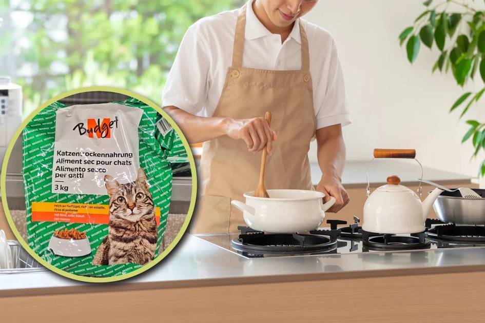 Xitoylik talaba Shveysariyada o‘qish uchun mushuk ozuqasini yeyapti