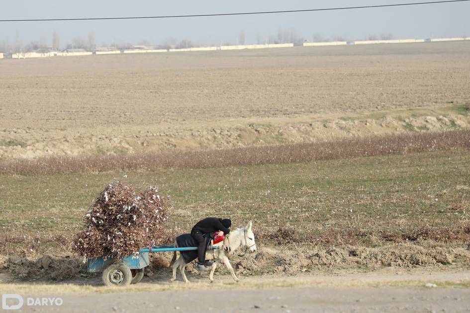 O‘zbekistonda kambag‘al oilalarga kredit ajratish tartibi belgilandi