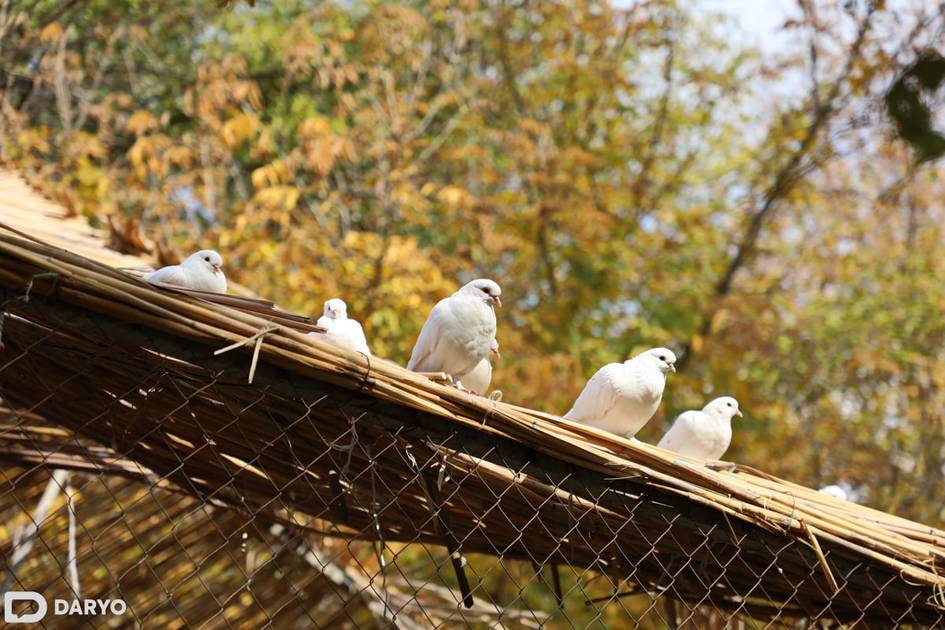 На этой неделе в Узбекистане ожидается потепление до 32 градусов