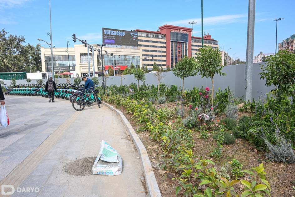 Muhokamalarga sabab bo‘lgan Shota Rustaveli ko‘chasiga fotonigoh