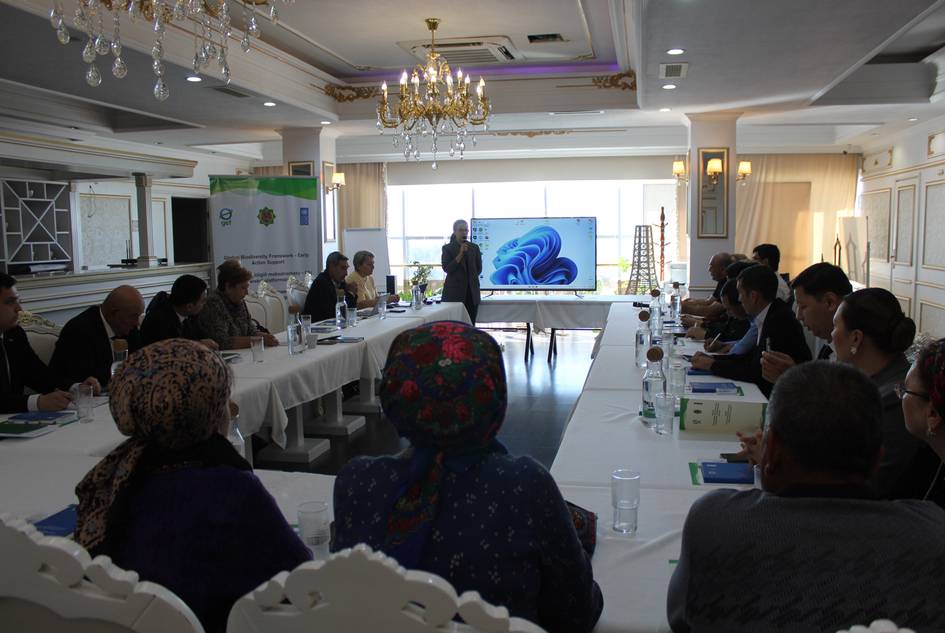 Turkmenistan and UNDP advance biodiversity goals with regional consultations on updated national strategy