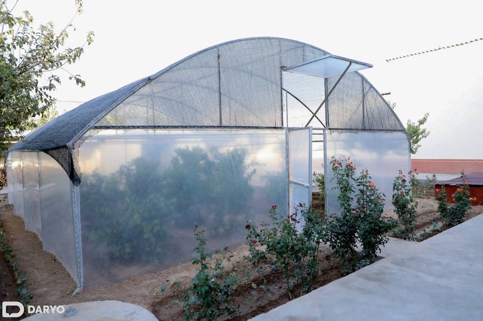 Uzbekistan to cut social tax rate on greenhouses from 12% to 1% to boost exports