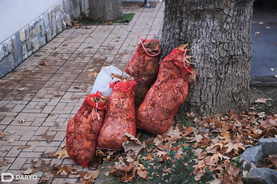 Oʻzbekistonda tozalik oyligi eʼlon qilindi