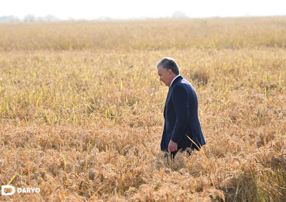 Uzbekistan’s President Mirziyoyev visits TCT Rice cluster in Tashkent region