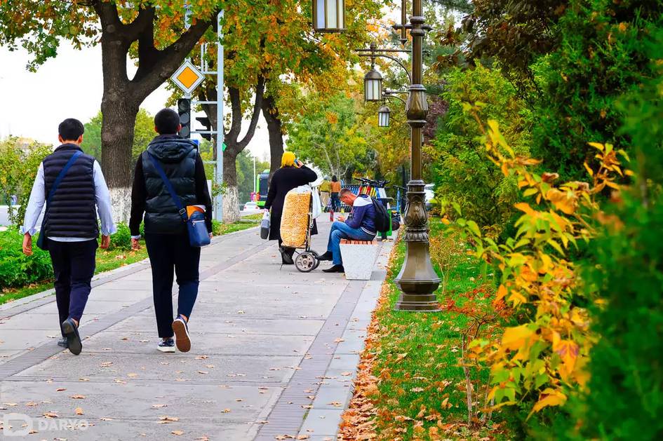Осенние каникулы в школах Узбекистана начнутся с 4 ноября