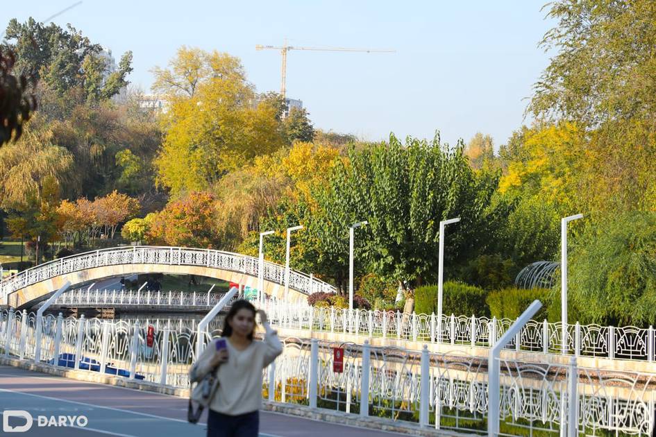 O‘zbekistonda hafta davomida harorat iqlim me’yoridan yuqori bo‘ladi