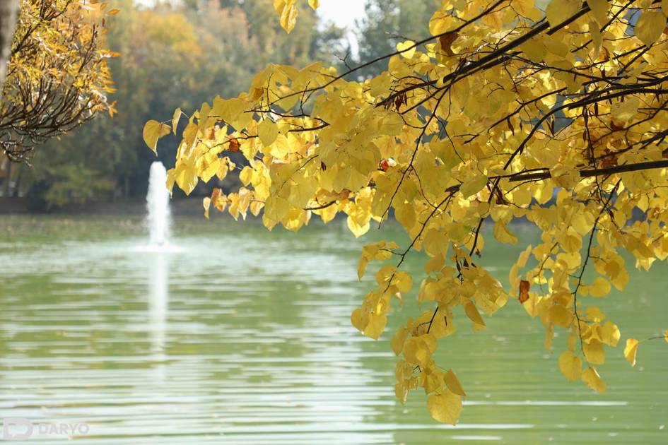 Узбекистанцев ожидает очень теплая и безоблачная неделя