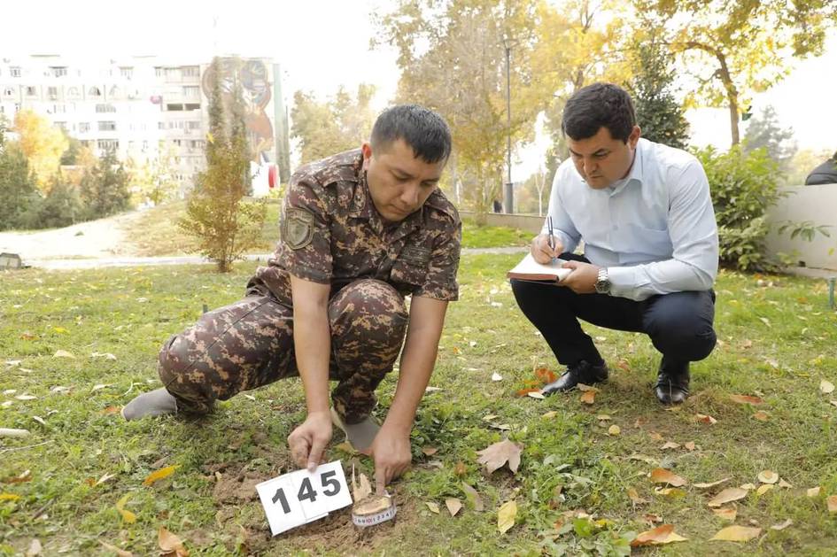 Toshkentda 174 tup daraxt va buta kesilishiga aloqador shaxslarga qat’iy chora ko‘riladi — Ekovazirlik