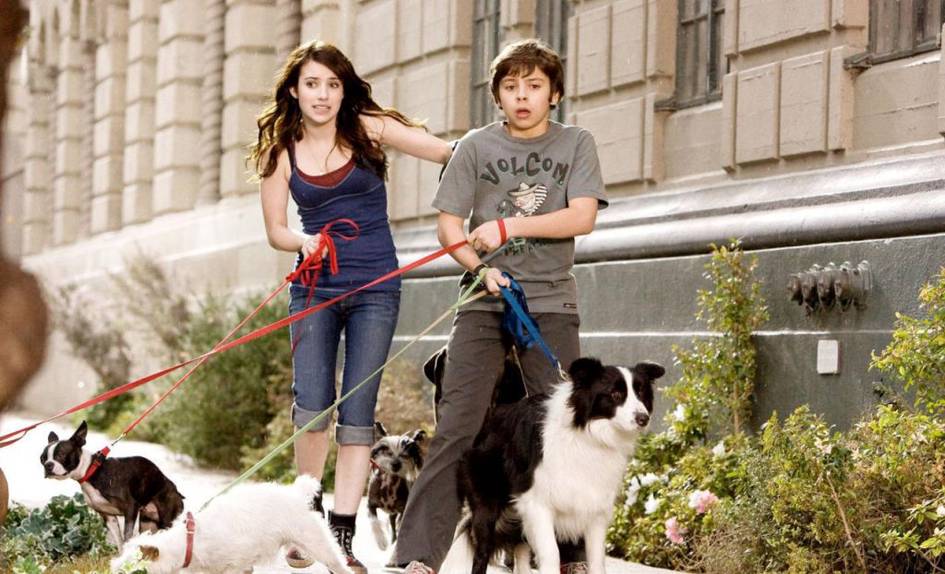 Sun’iy intellekt tufayli hayvon-aktyorlar ishsiz qolmoqda