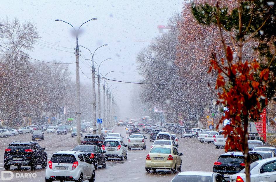 “Қиш қурғоқчил, баҳор сувсиз келади” — гидрометеоролог