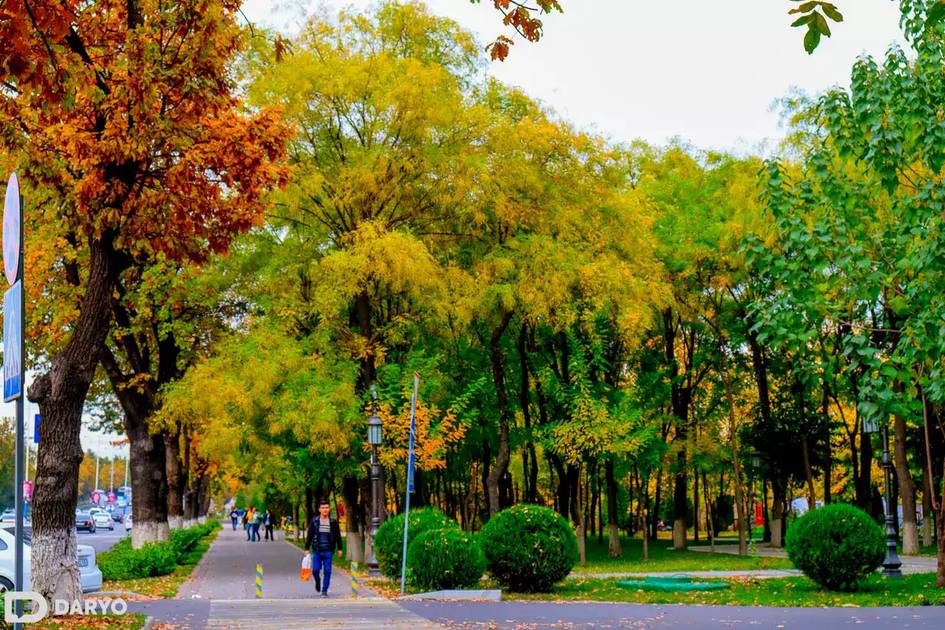 “O‘zgidromet” 30-oktyabrda qanday ob-havo bo‘lishini ma’lum qildi