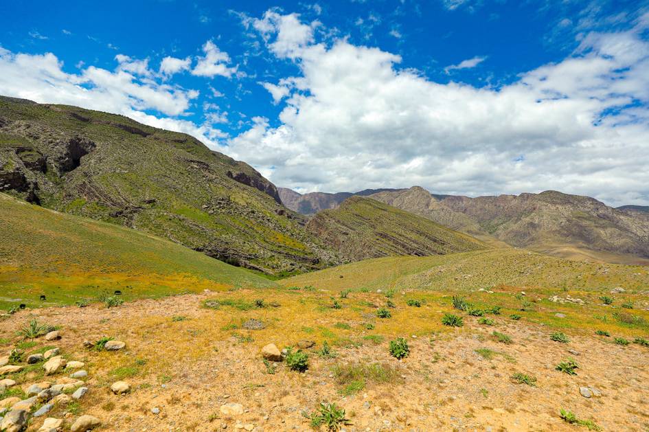 Surxon davlat qo‘riqxonasining 4 gektar yeri qurilish uchun berilayotgani rad etildi