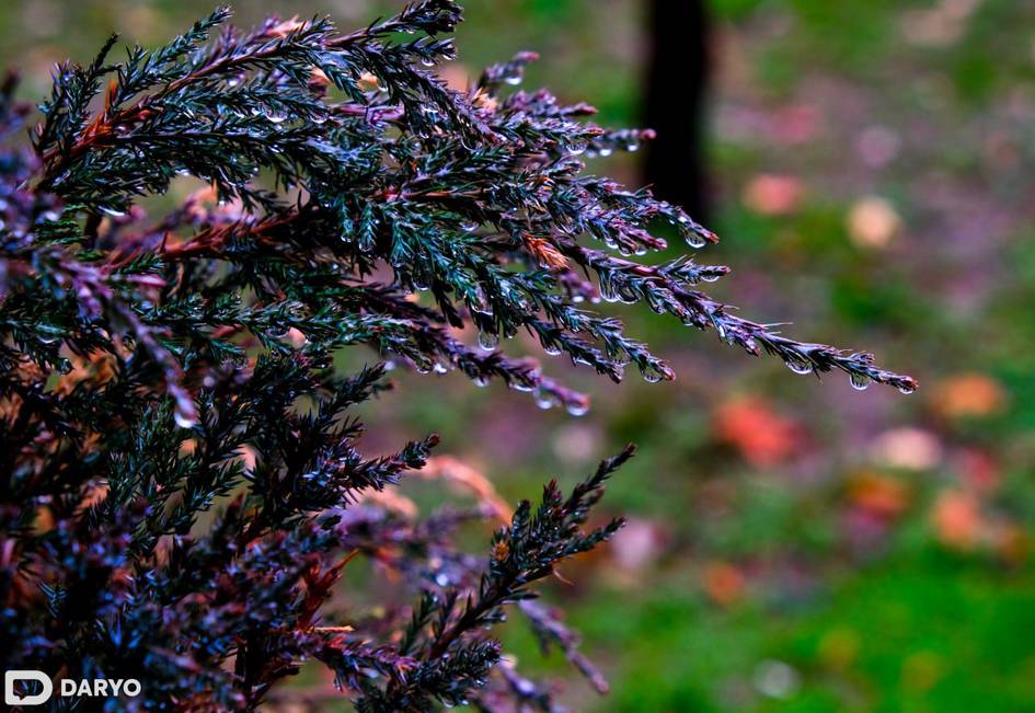 O‘zbekistonda havo 0 darajagacha sovib ketishi kutilmoqda