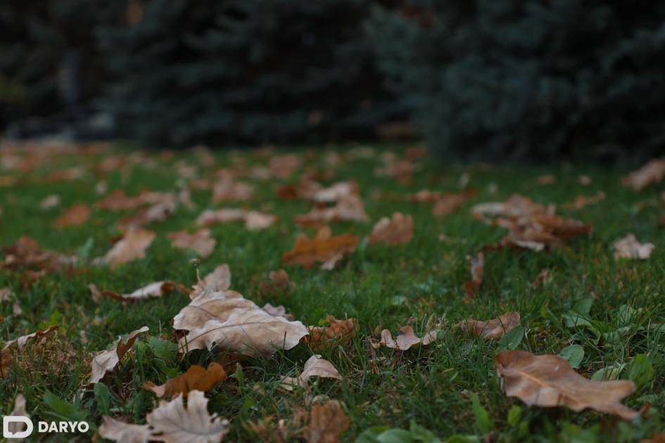 O‘zbekistonda dam olish kunlari harorat qanchaga pasayishi ma’lum qilindi