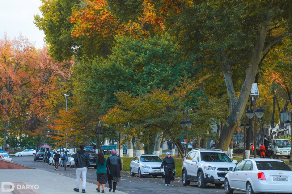 Ўзбекистонда 1 ноябрдан нималар ўзгаради?