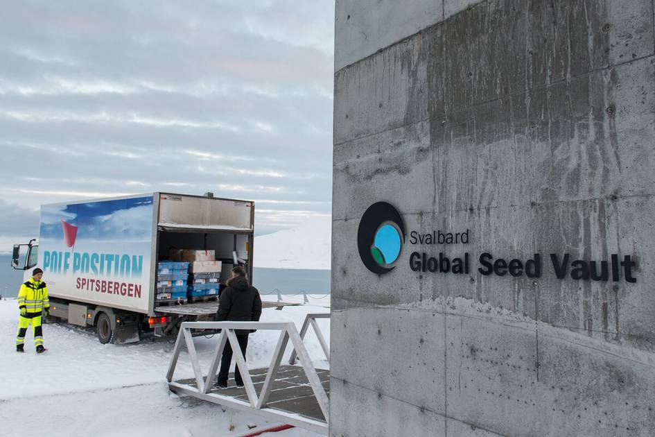 Uzbekistan sends ancient crop seeds to global “Doomsday Vault” in Norway