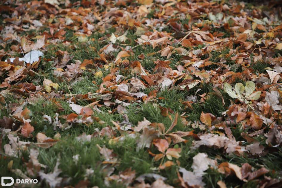 “O‘zgidromet” 2-noyabrda qanday ob-havo bo‘lishini ma’lum qildi