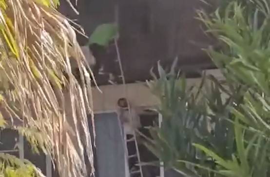 Сочидаги ёнғинда ўзбекистонлик йигит она-болани қутқариб қолди