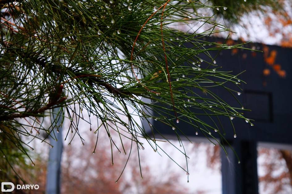 Hafta boshida O‘zbekistonga sovuq havo kirib kelishi boshlanadi