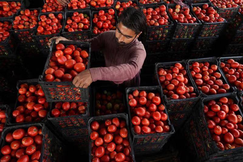 Pokistonda Afg‘oniston bilan chegara yopilishi sabab oziq-ovqat narxlari oshib ketdi