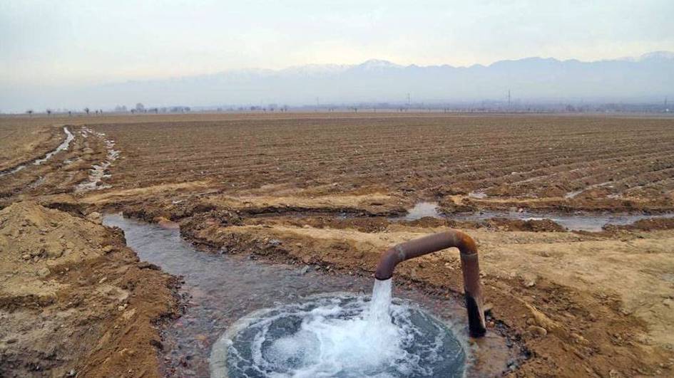 Uzbekistan to subsidize 50% of irrigation electricity costs for food crops