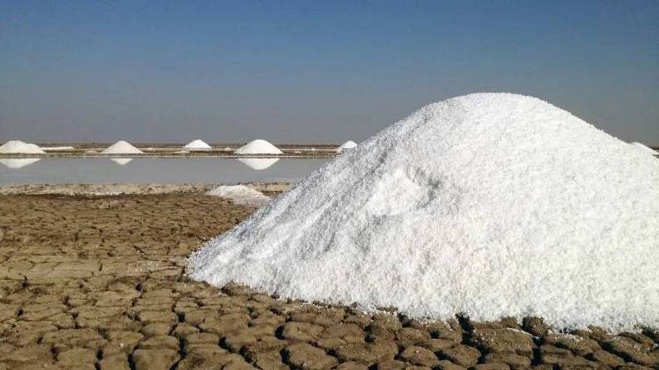 Uzbekistan to attract $200mn investment for salt processing zone in Karakalpakstan