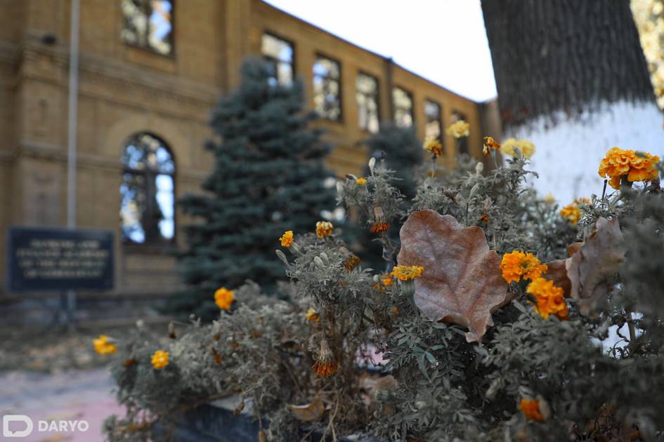 “Ўзгидромет” 7 ноябрда ҳарорат неча даража бўлишини маълум қилди