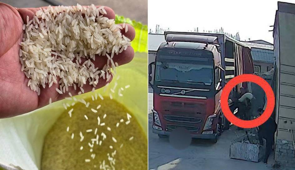 Сохта транзит операцияси: Ўзбекистондан 50 тонна гуручнинг ноқонуний олиб чиқилиши олди олинди