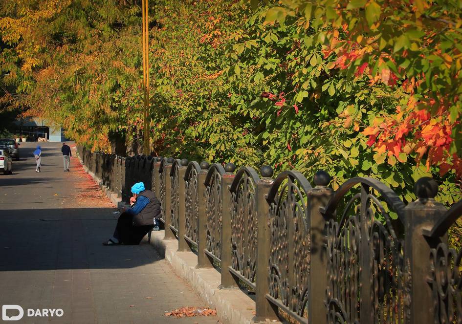 “Ўзгидромет” 9 ноябрда қандай об-ҳаво бўлишини маълум қилди