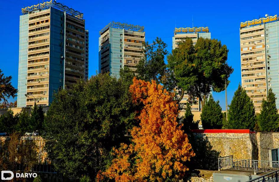 Ўзбекистонда ҳафта давомида ҳарорат яна кўтарилади