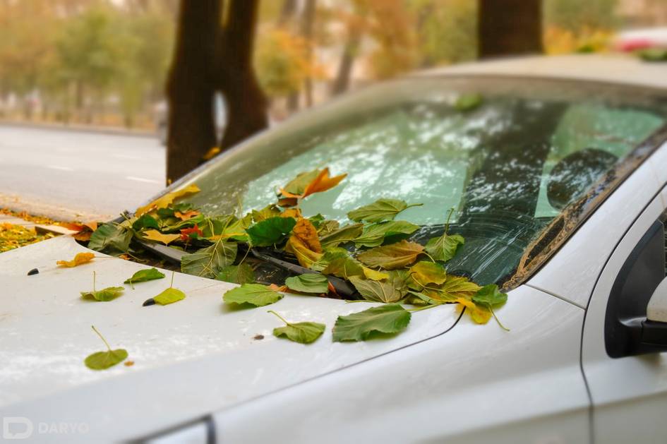 Toshkent va Andijon shaharlarida havo sifati yomonlashdi
