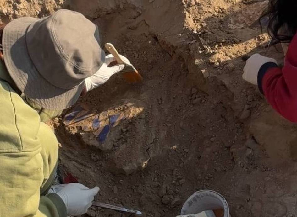 Toshkent viloyatida X–XI asrlarga oid devoriy rasmlar topildi