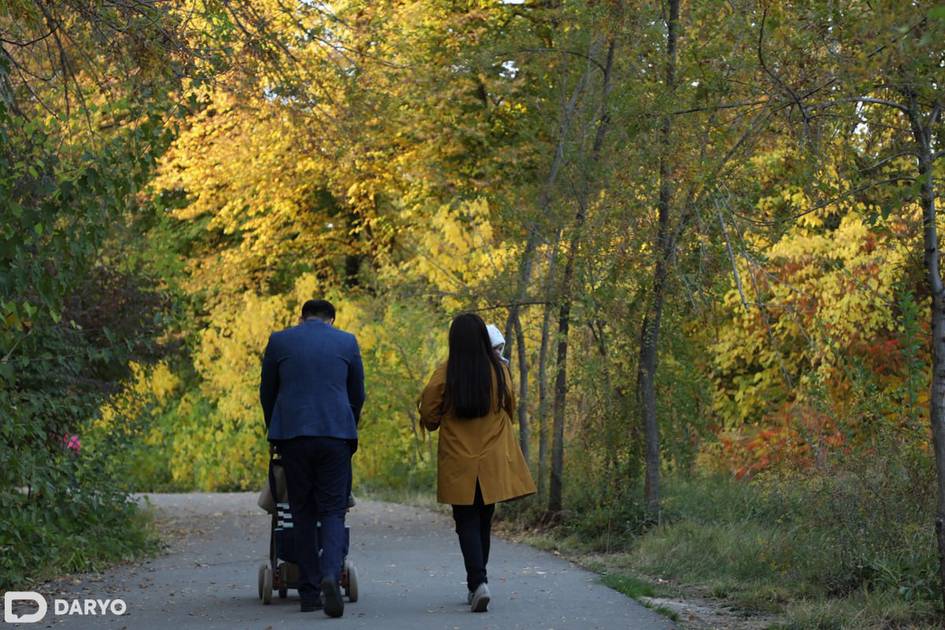“Ўзгидромет” 13 ноябрда қандай об-ҳаво бўлишини маълум қилди