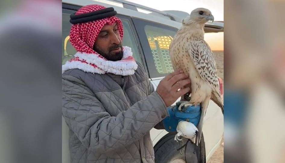 Afg‘onistonda arab ovchilari kamyob qushlarni ovlamoqda