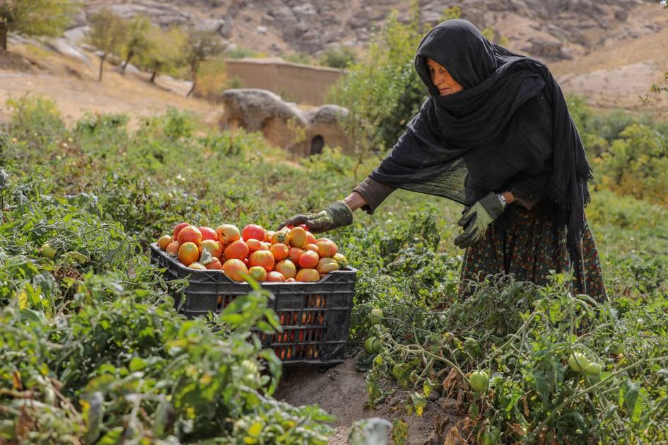 Yaponiya afg‘on ayollarining hayotini yaxshilash uchun qariyb 6 million dollar xayriya qildi