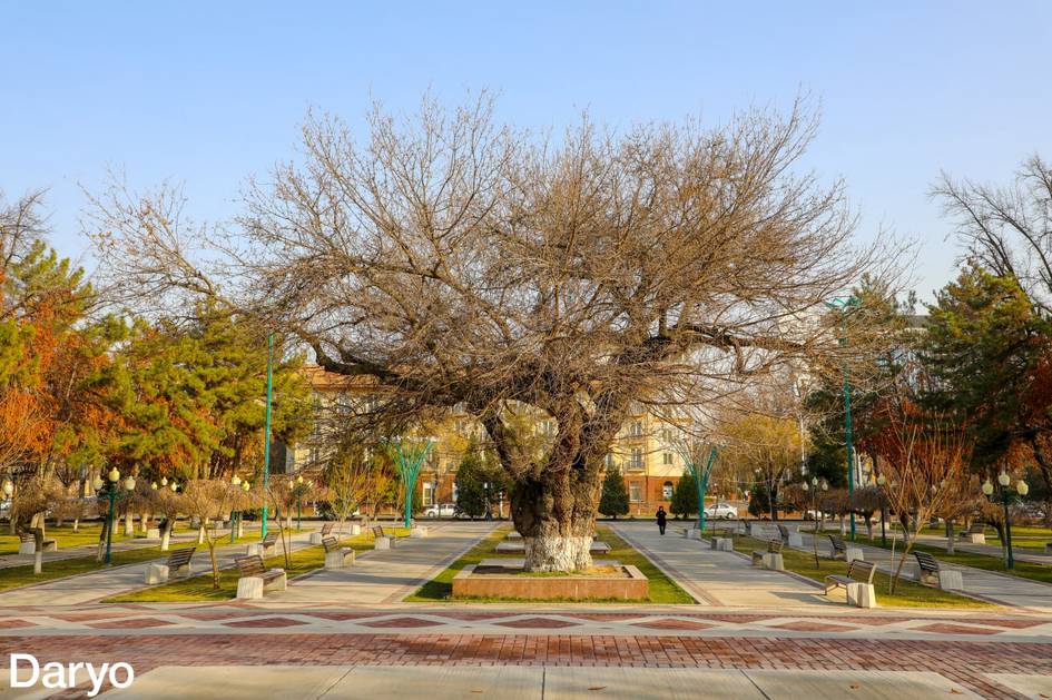 “Endi ekologiyaning tili ham, qo‘li ham uzun bo‘ladi”. Ekofaollar navbatdagi islohotlar haqida