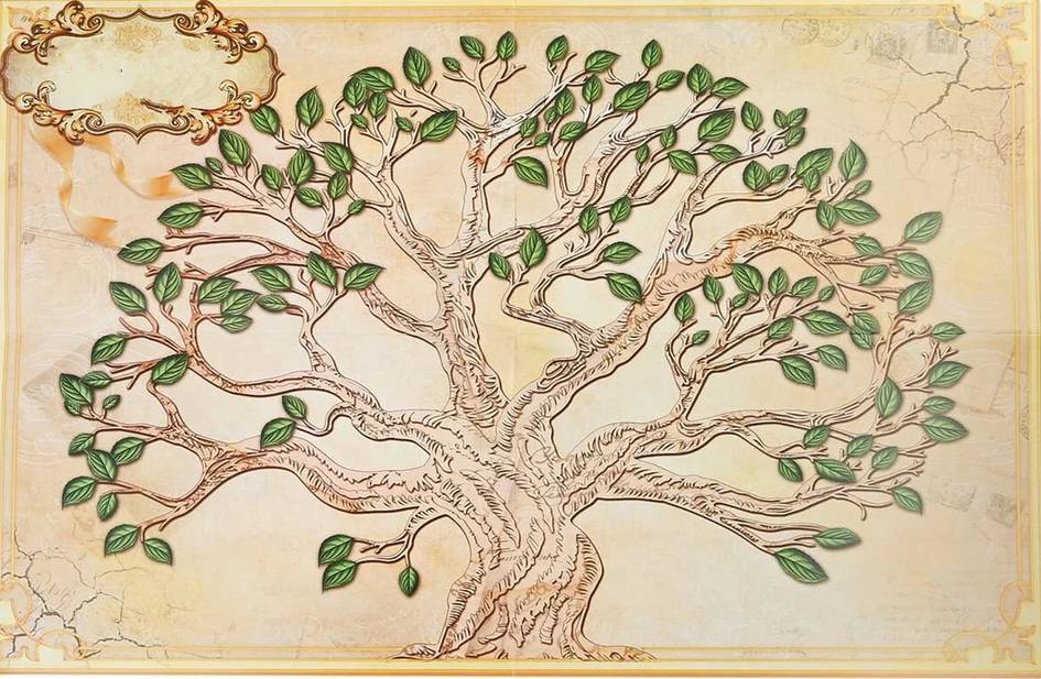 Ўзбекистонда “Шажара” ахборот тизими йўлга қўйилиши мумкин