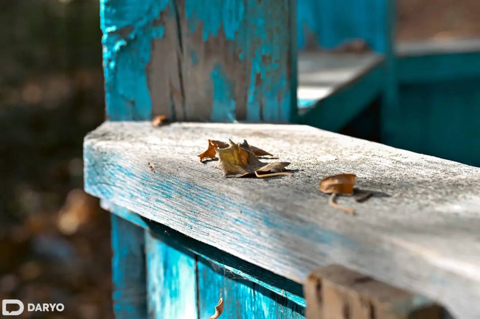 O‘zbekistonda hafta davomida quruq ob-havo saqlanib turadi