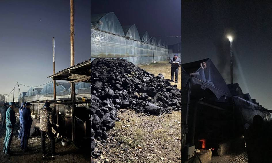 Toshkent shahri va viloyatida yarim tunda issiqxonalarga reyd uyushtirildi