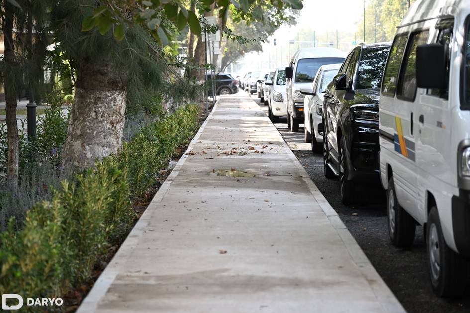 Toshkentning har bir tumanida “soyali sayr koʻcha”lari tashkil qilinadi