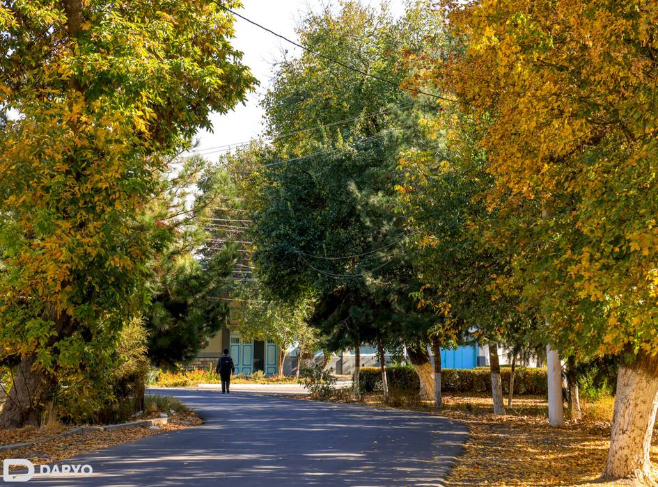 Ўзбекистонда 26 ноябрь куни 20 даражагача илиқ бўлади