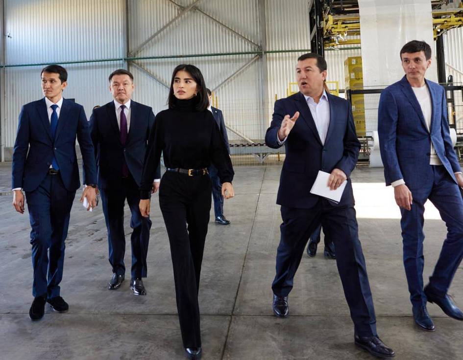 Саида Мирзиёева базалтдан иссиқлик сақловчи минерал плиталар ишлаб чиқарадиган завод раҳбарлари билан суҳбатлашди