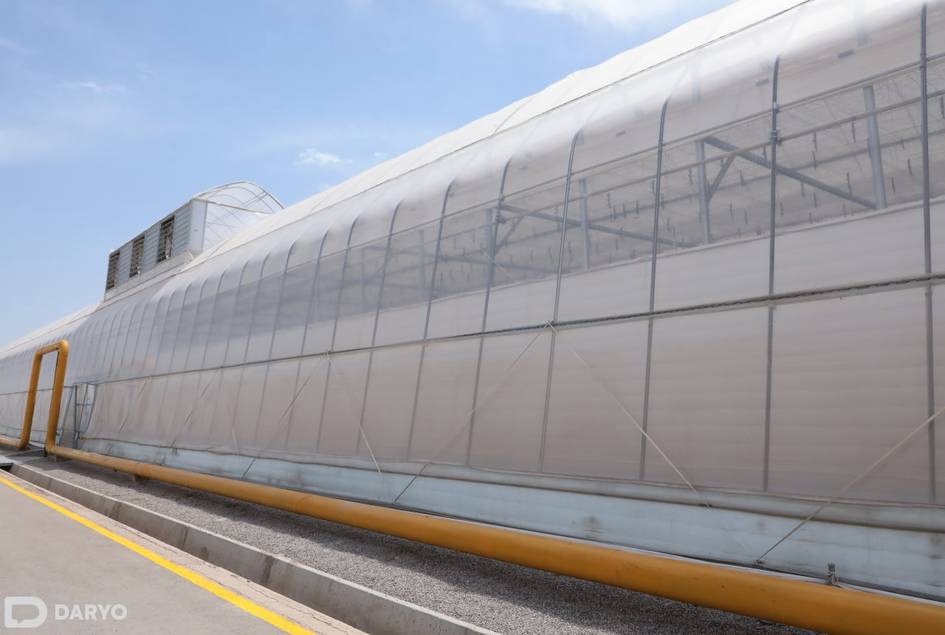 Uzbekistan begins natural gas supply contracts for greenhouses in Tashkent region