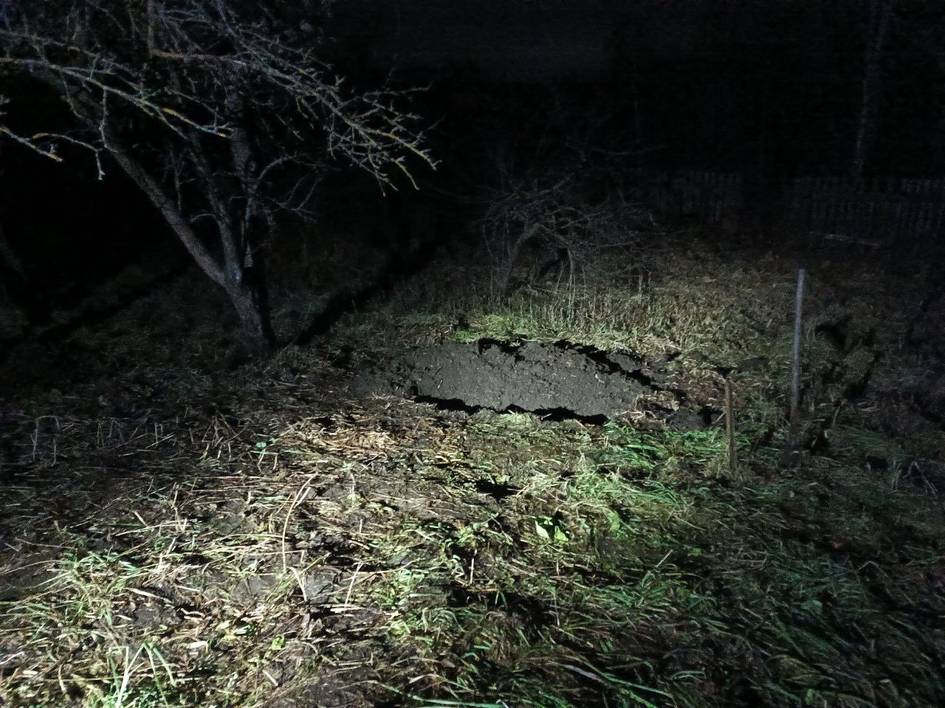 Rossiyada ayol o‘zbekistonlik migrantni o‘ldirib, daraxt ostiga ko‘mib qo‘ydi