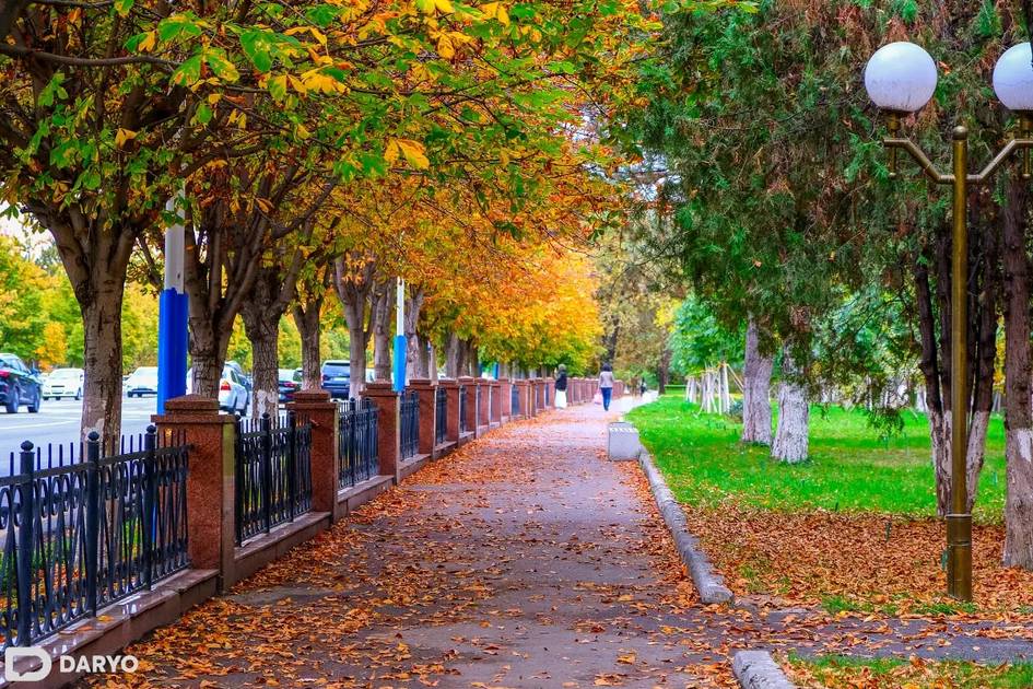 Дам олиш кунлари Ўзбекистонда ҳарорат яна пасаяди