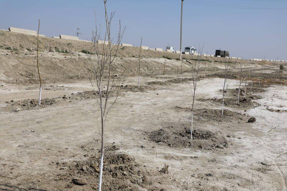 Buxorodagi ekoreydlarda mansabdorlar 300 mln so‘mdan ortiq jarimaga tortildi