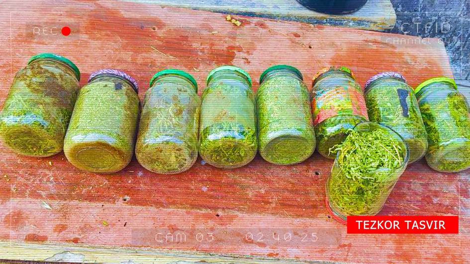 Тошкент вилоятида фуқаронинг молхонасидан 5 кило марихуана топилди