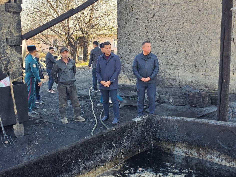 Чўчқа боқиш учун: Самарқандда ҳавони ифлослантирган тадбиркорга чора кўриладиган бўлди