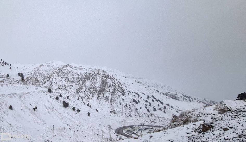 Qamchiq dovoni qor ko‘chkisi xavfi tufayli vaqtincha yopildi